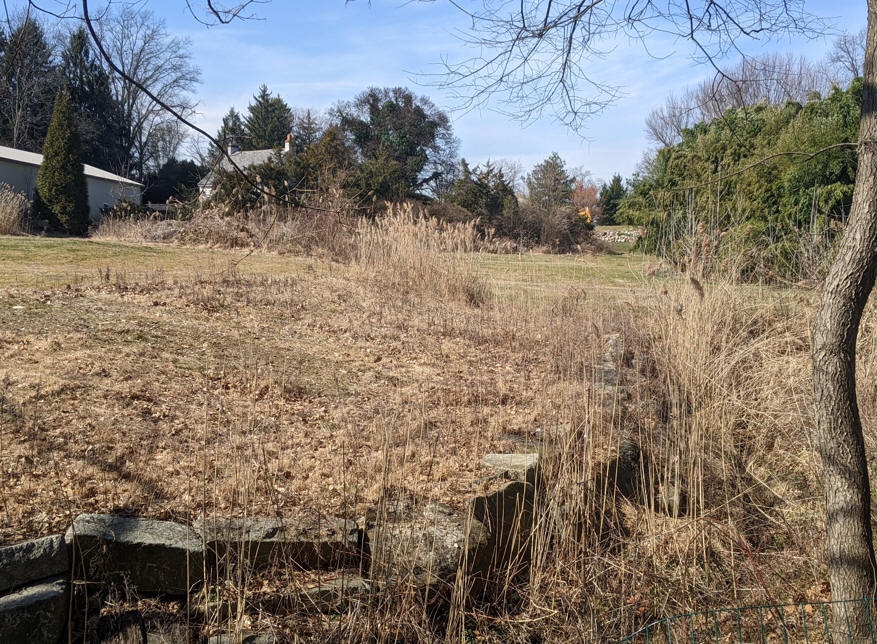 Pic-StonewallAndChannel