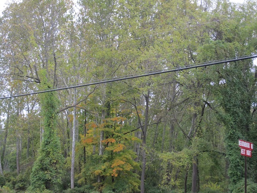 2012-Along Valley Rd